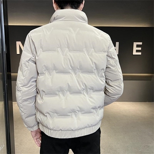 DS-A225-8707新标三防面料男士立领免洗潮流时尚休闲鸭绒羽绒服图片