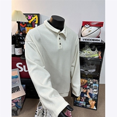 假模图肌理感坑条POLO衫男简约卫衣宽松潮流长袖外套2026春装P48，男装Polo衫，电商C306-1