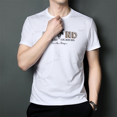 SQY9820男式2023年夏季新款T恤男短袖商务时尚休闲体恤男装P55，男装T恤，电商B360