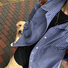 蓝色格子