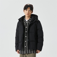 新标90白鸭绒简约休闲连帽外套纯色加厚羽绒服ESY0209-P210，男装羽绒服，电商B306