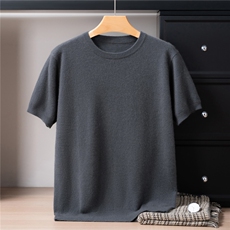 2025年秋季圆领夏季常规款宽松型青春流行不连帽短袖，男装T恤，戎禾素
