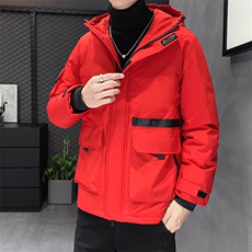 万件现货新款店主风男士修身连帽户外工装白鸭绒羽绒服，男装羽绒服，星座301D-5(原星座1415）