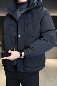 标50绒 加厚款羽绒服男冬季2025新款连帽外套 A313-66060-P235图片
