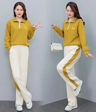 圆领卫衣运动套装女2025新款秋季时尚休闲中年妈妈装两件套，女装套装/套裙，凝聚力