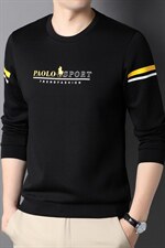 QLM77196男式秋季服装新款长袖T恤青年卫衣四季打底体恤P63，男装卫衣，电商B360
