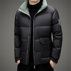 男士新款立领保暖羽绒服2023冬季新款商务休闲上衣中年男装外套，男装羽绒服，电商B212（原钱塘6029）