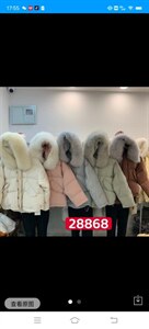 羽绒大毛领,其它,The Show Fei Fei