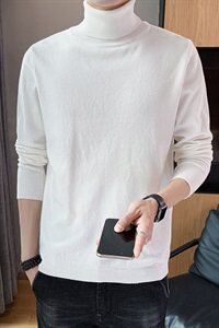 2021秋冬季新款高领毛衣男士韩版潮流针织毛线修身打底衫DF65T图片