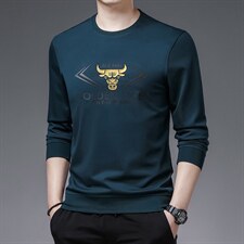 长袖男春秋季2023新款时尚圆领印花卫衣中年爸爸商务休闲上衣，男装卫衣，电商B212（原钱塘6029）