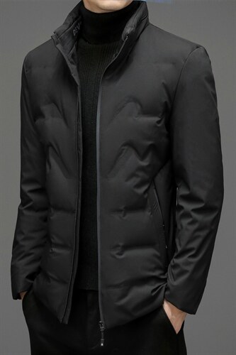 羽绒服外套男立领商务休闲中年男装冬季中老年爸爸装ZL6107-P195，男装羽绒服，电商B212（原钱塘6029）