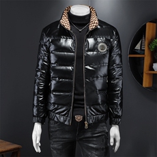 冬季新款亮面立领羽绒服男士潮流休闲外套钱塘2027-8806-P310，男装羽绒服，钱塘6025
