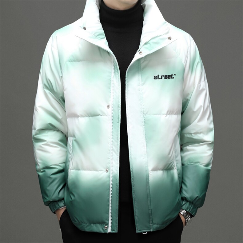 冬装白鸭绒羽绒服男士2023新款中青年立领休闲上衣厚款保暖外套图片