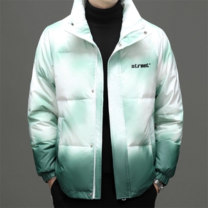 冬装白鸭绒羽绒服男士2023新款中青年立领休闲上衣厚款保暖外套图片