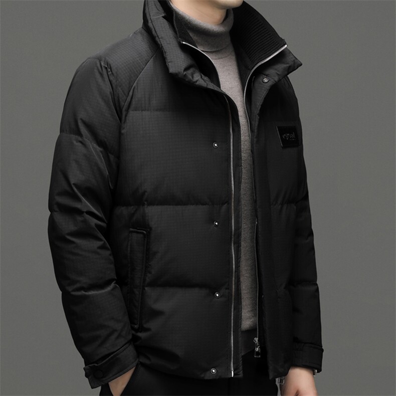 DF8203钱塘2020-2冬季时尚简约厚款新款中年男士羽绒服P335,男装羽绒服,钱塘207-2