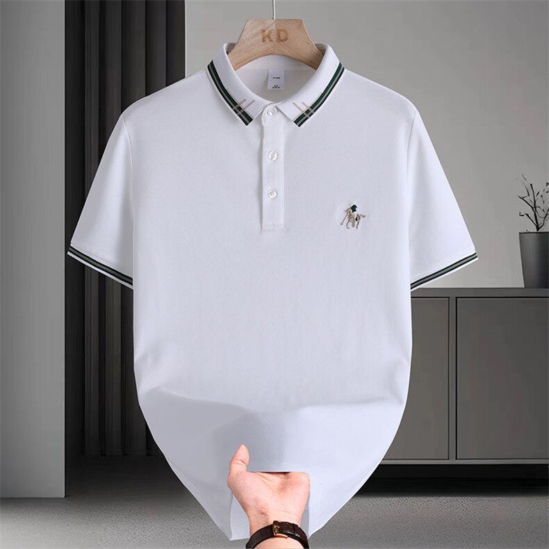 抖音夏季新款高品质休闲简约百搭翻领POLO衫短袖T恤男2566P38，男装Polo衫，电商B226-2（原B217-2）