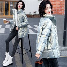 2020年冬季时尚优雅气质韩版亮面立领棉服，女装棉衣/棉服，一安秀