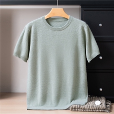 2025年秋季圆领夏季常规款宽松型青春流行不连帽短袖，男装T恤，戎禾素