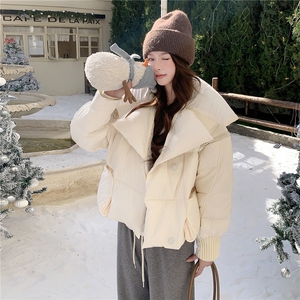 水衣源2319款短款大翻领加厚时尚羽绒服冬季保暖外套女图片