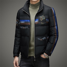 2023新款立领商务休闲男士上衣冬季中年加厚保暖羽绒服男装外套，男装羽绒服，电商B212（原钱塘6029）