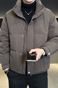 标50绒 羽绒服男冬季2025新款外套 A313-3301-P205劵后298图片