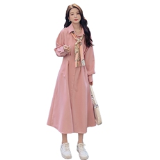 大货，送丝巾长款连衣裙P125-K198，女装连衣裙，2B113