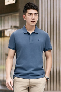 B8305钱塘2020-1中青年男士商务休闲百搭纯色夏季短袖翻领T恤P51图片