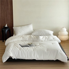 2025全棉大提花航天恒温立体抗菌被子被芯，被套/被芯，一起卖家纺