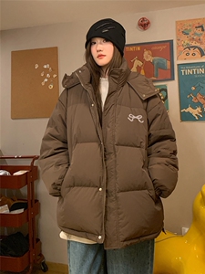 中性风室内新标白鸭绒图案印花连帽羽绒服A268-YR367 P255控298图片