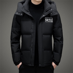 BAMJ-8919钱塘2020-2中青年男士时尚休闲潮流冬季厚款羽绒服P255图片
