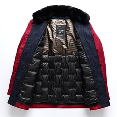 唐装毛领羽绒服套装风90白鸭羽绒服可脱卸内胆外套TF823-P235，男装羽绒服，星座1105-3