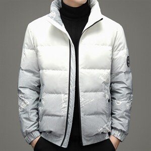90%羽绒服男款外套立领2023冬季新款厚款鸭绒男士上衣ZG2950-P210，男装羽绒服，电商B212（原钱塘6029）