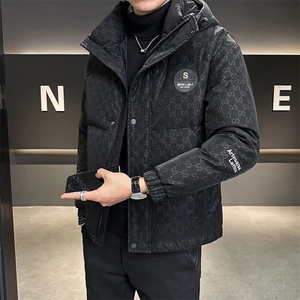 2024新款男士羽绒服高端帅气连帽羽绒外套B240-YR6826-P205图片