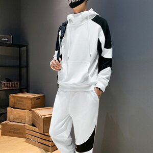 秋季新款卫衣套装男连帽衣服青少年宽松两件套DS953T图片