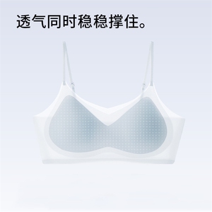 轻薄透气超薄美背内衣女小胸聚拢收副乳无痕无钢圈舒适软支撑文胸图片
