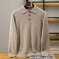 2025年秋季polo领时尚百搭通勤简约休闲，男装羊绒套衫，恒标羊绒