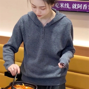 2025年秋季时尚百搭通勤简约休闲连帽套衫图片