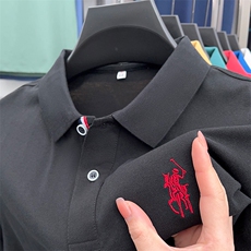 男士纯短袖T恤保罗polo衫2023夏季新款中年休闲男装翻领体恤衫，男装Polo衫，电商B212（原钱塘6029）