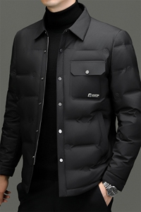 DF8001钱塘2020-2冬季百搭简约翻领厚款中年男士羽绒服P215图片