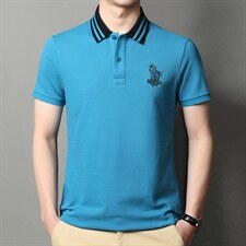 2023夏季新款短袖T恤男士中年商务休闲翻领纯色免烫POLO衫男装T恤，男装T恤，电商B212（原钱塘6029）