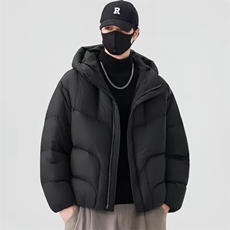 (网图)90白鸭绒207-240克龟背羽绒服百搭宽松313B-2722-P330，男装羽绒服，星座313B