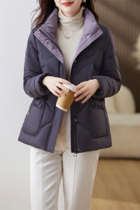 羽绒服2024新款时髦修身立领羽绒服图片