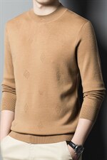 CA906021钱塘2020-2春秋薄款时尚休闲简约中年男士羊毛衫P175，男装针织衫/毛衣，钱塘207-2
