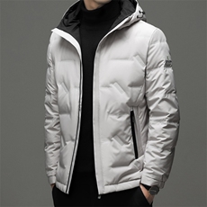 2023年新款羽绒服P245，男装羽绒服，电商D223-1