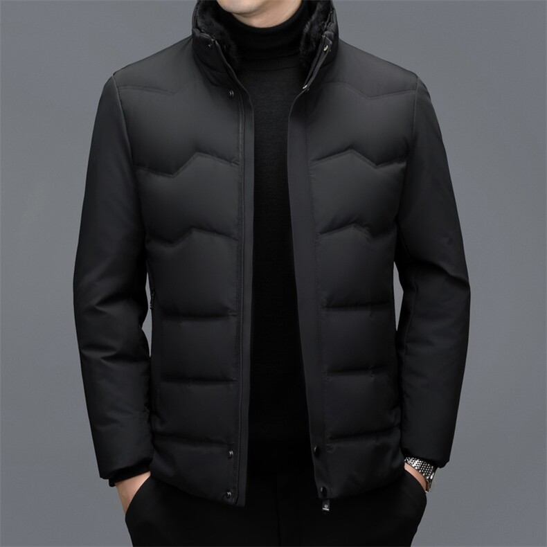 秋冬季男士绒羽绒服保暖休闲品质白鸭绒毛领立领外套休闲简约男装,男装羽绒服,钱塘6003（原4033）