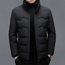 秋冬季男士绒羽绒服保暖休闲品质白鸭绒毛领立领外套休闲简约男装，男装羽绒服，钱塘6003（原4033）