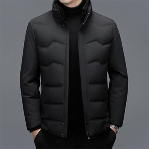 秋冬季男士绒羽绒服保暖休闲品质白鸭绒毛领立领外套休闲简约男装图片