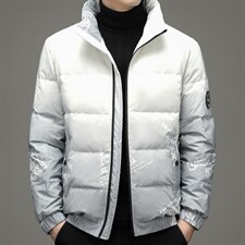 90%羽绒服男款外套立领2023冬季新款厚款鸭绒男士上衣ZG2950-P210，男装羽绒服，电商B212（原钱塘6029）