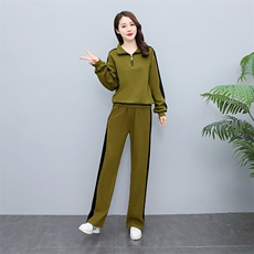现货2024年新款春装高级时尚休闲洋气显瘦减龄套装，女装套装/套裙，凝聚力