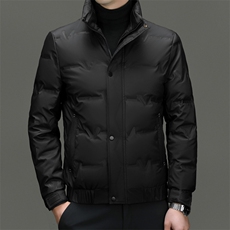 冬季白鸭绒翻领轻薄羽绒服休闲男士短款时尚户外保暖防寒男外套，男装羽绒服，钱塘6003（原4033）
